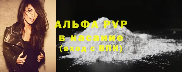 стаф Алексин